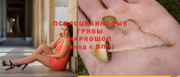 МДМА Богородицк