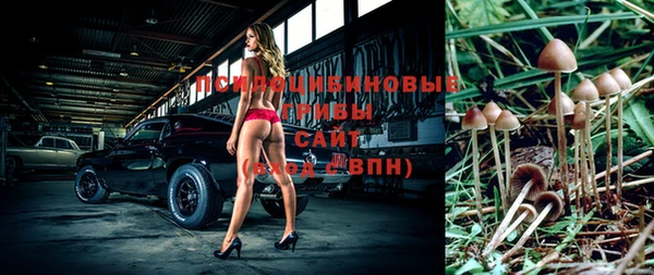 бошки Богородск
