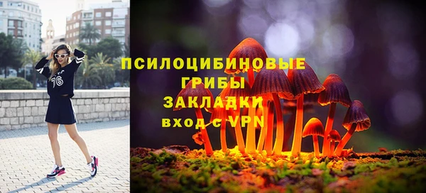 бошки Богородск